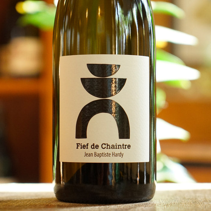 Fief de Chaintre 2023 - Jean-Baptiste Hardy