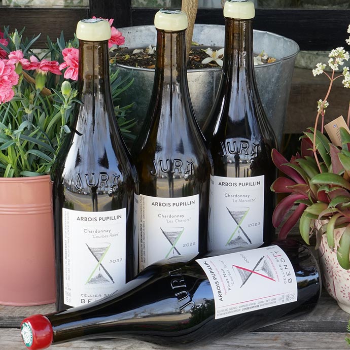 Vin Jaune 2014 - Cellier Saint Benoit