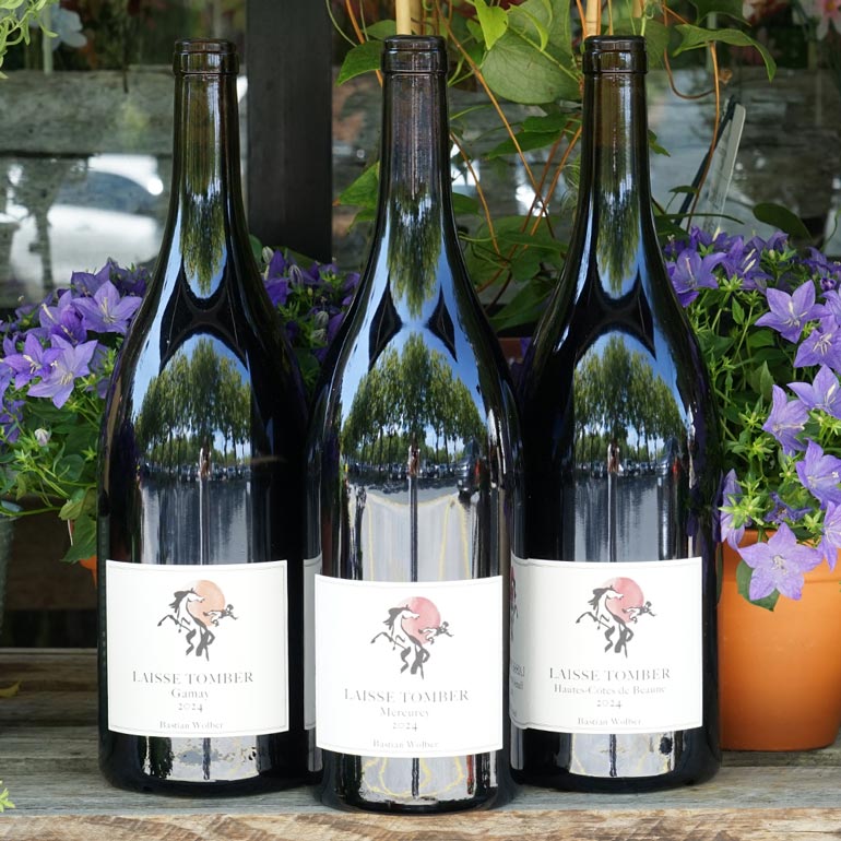 Gamay 2024 Magnum - Bastian Wolber