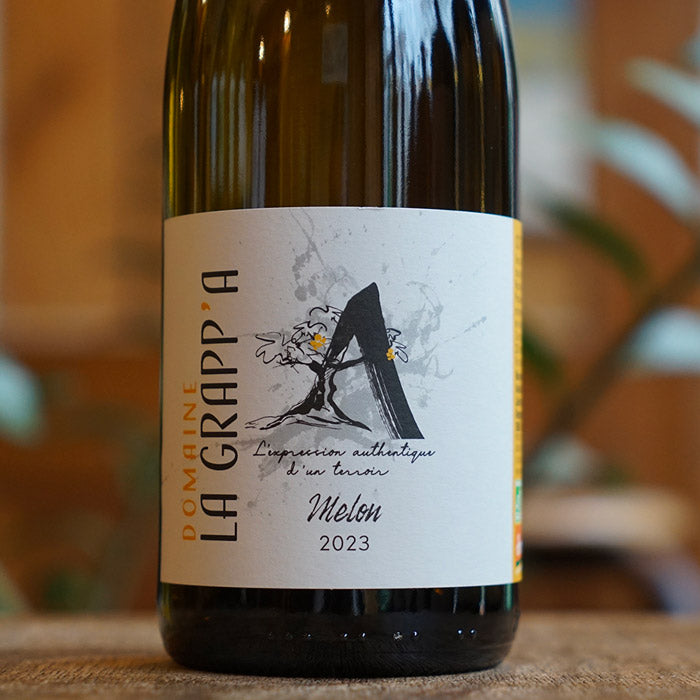 Melon à Queue Rouge 2023 - Domaine La Grapp'A