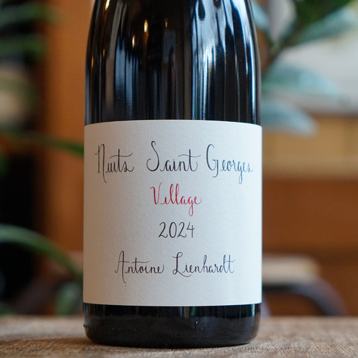 Nuits Saint-Georges 2024 - Antoine Lienhardt