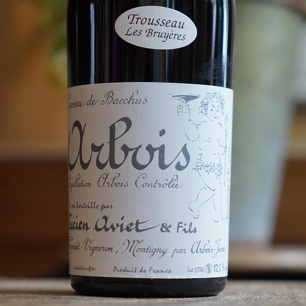Trousseau Bruyères "Cuvée des Géologues" 2023 - Lucien Aviet