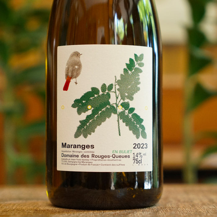 Maranges Blanc 2023 - Domaine des Rouges Queues