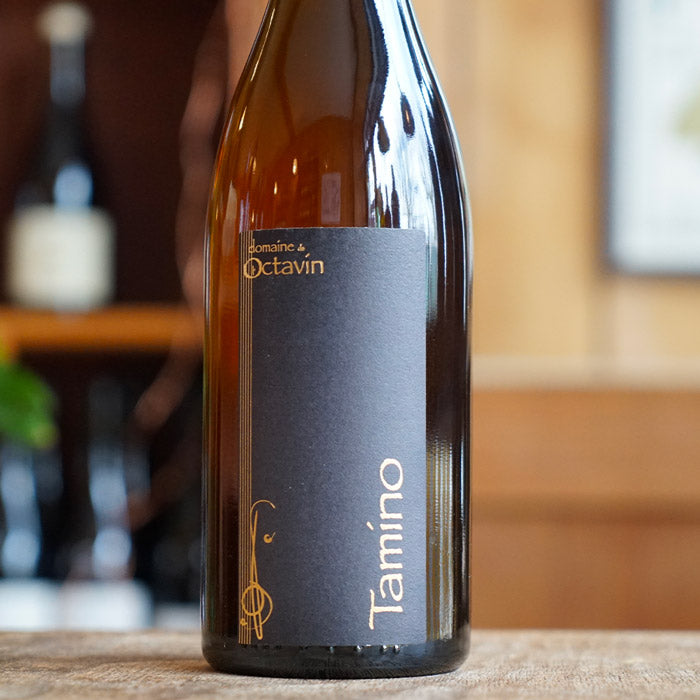 Tamino 2021 - L'Octavin