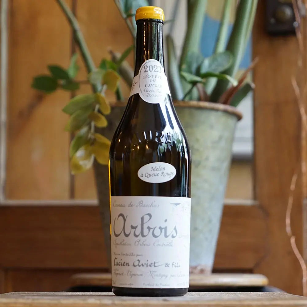 Melon à Queue Rouge "Cuvée des Docteurs" 2023 - Lucien Aviet