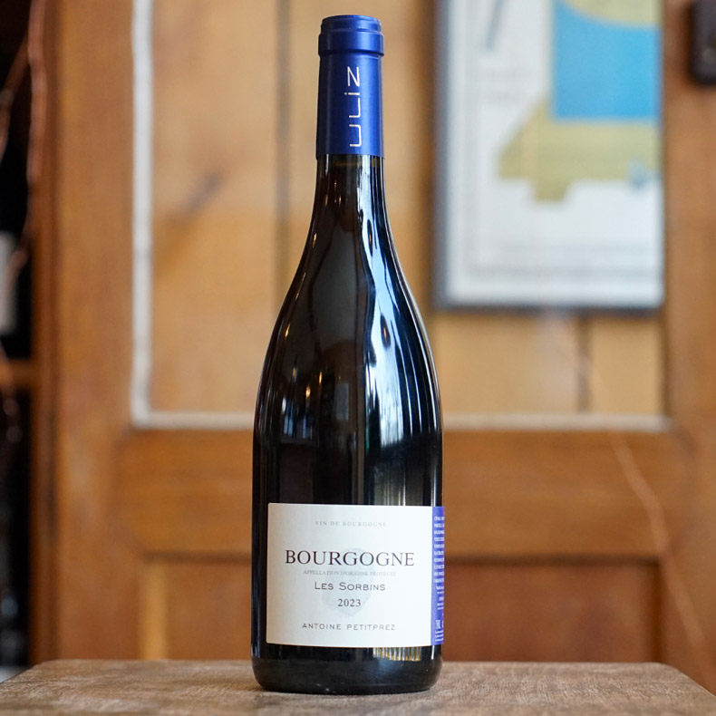 Bourgogne Rouge "Les Sorbins" 2023 - Antoine Petitprez