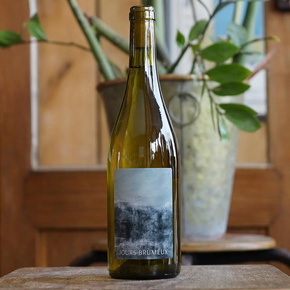 Jours Brumeux 2023 - L'Oiseau Rôdeur