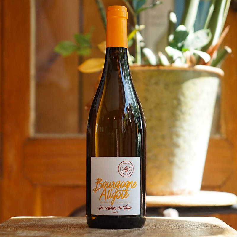 Bourgogne Aligoté 2023 - Le Domaine d'Edouard