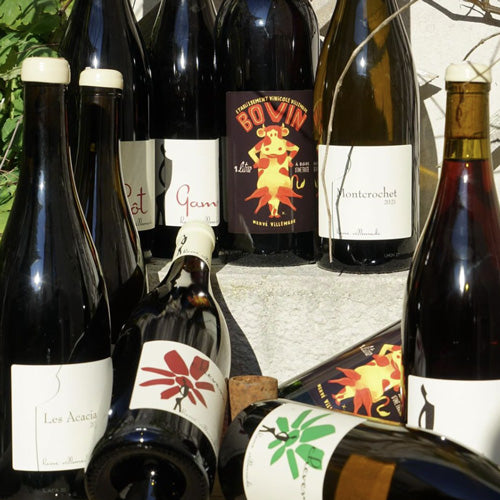 Bovin Blanc 2022 1L - Hervé Villemade