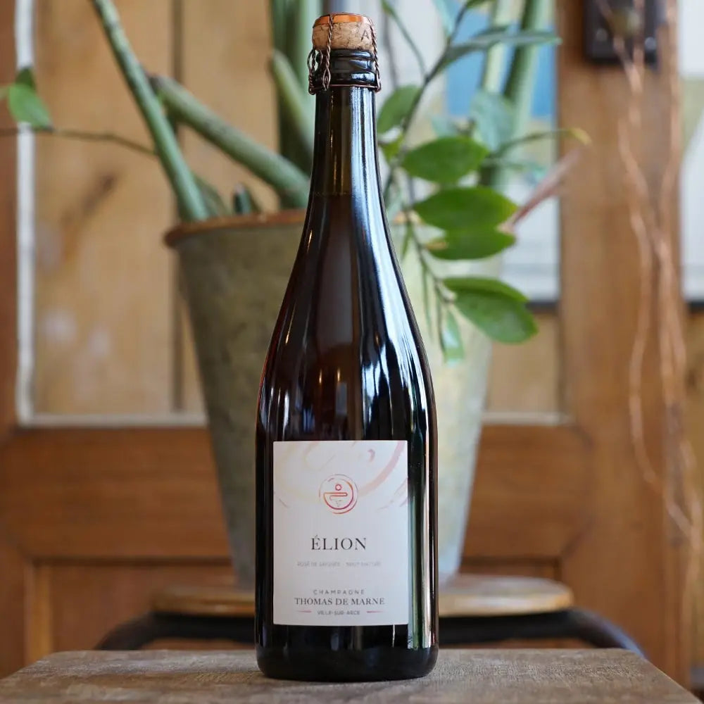 Elion R22 - Champagne Thomas de Marne