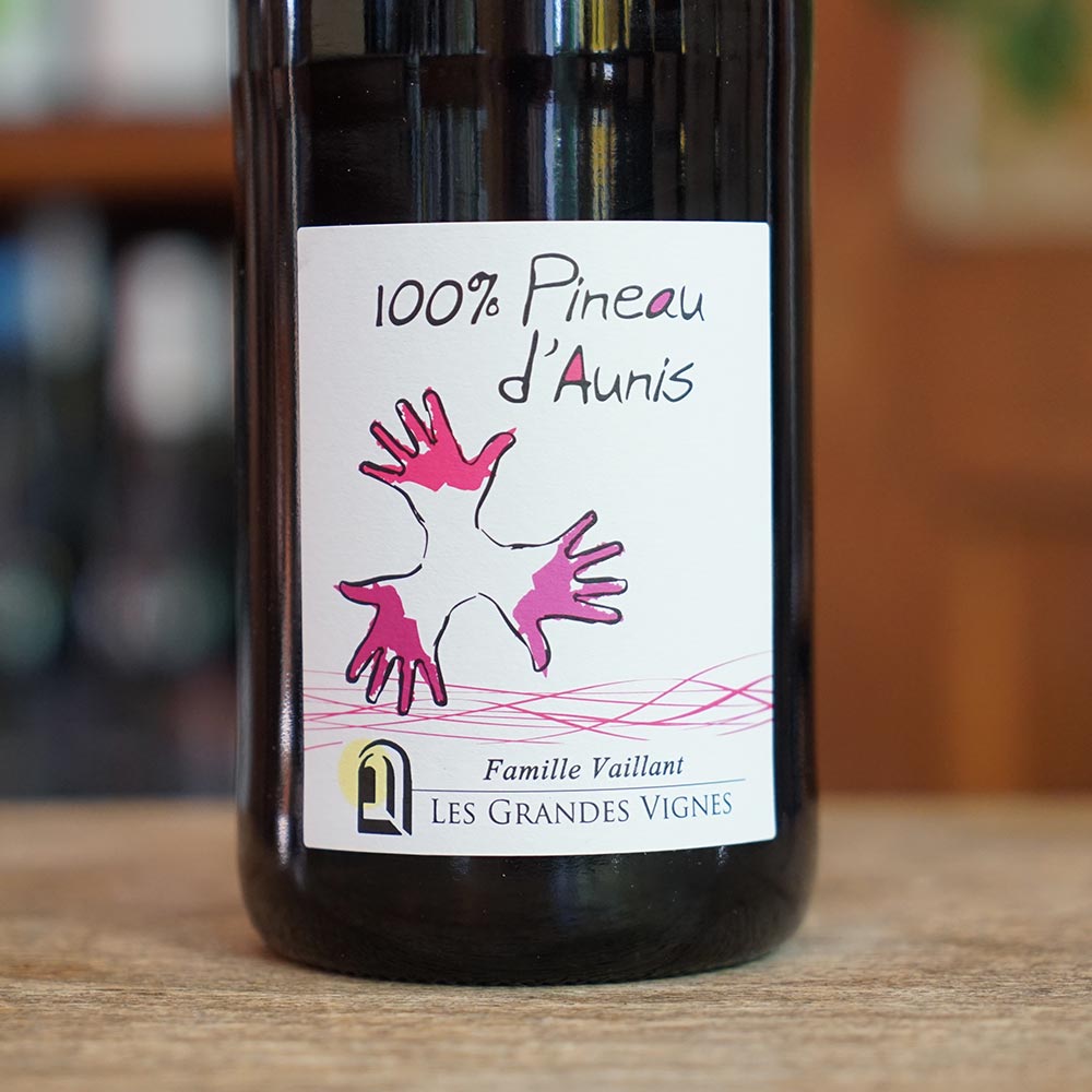 Pineau d'Aunis 2024 - Les Grandes Vignes