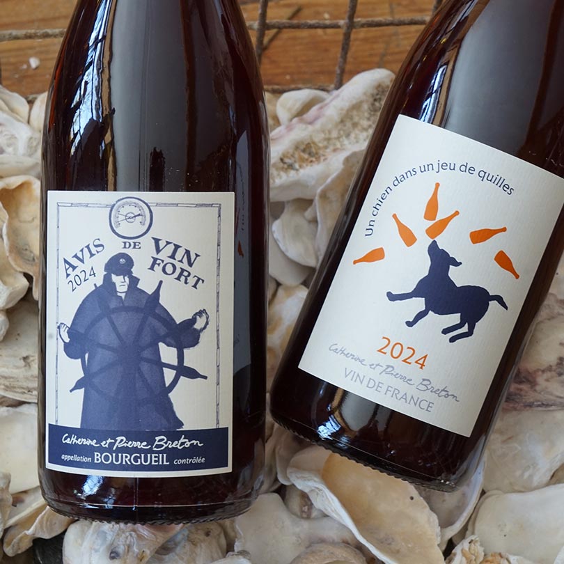 Un chien dans un jeu de quilles 2024 - Domaine Breton