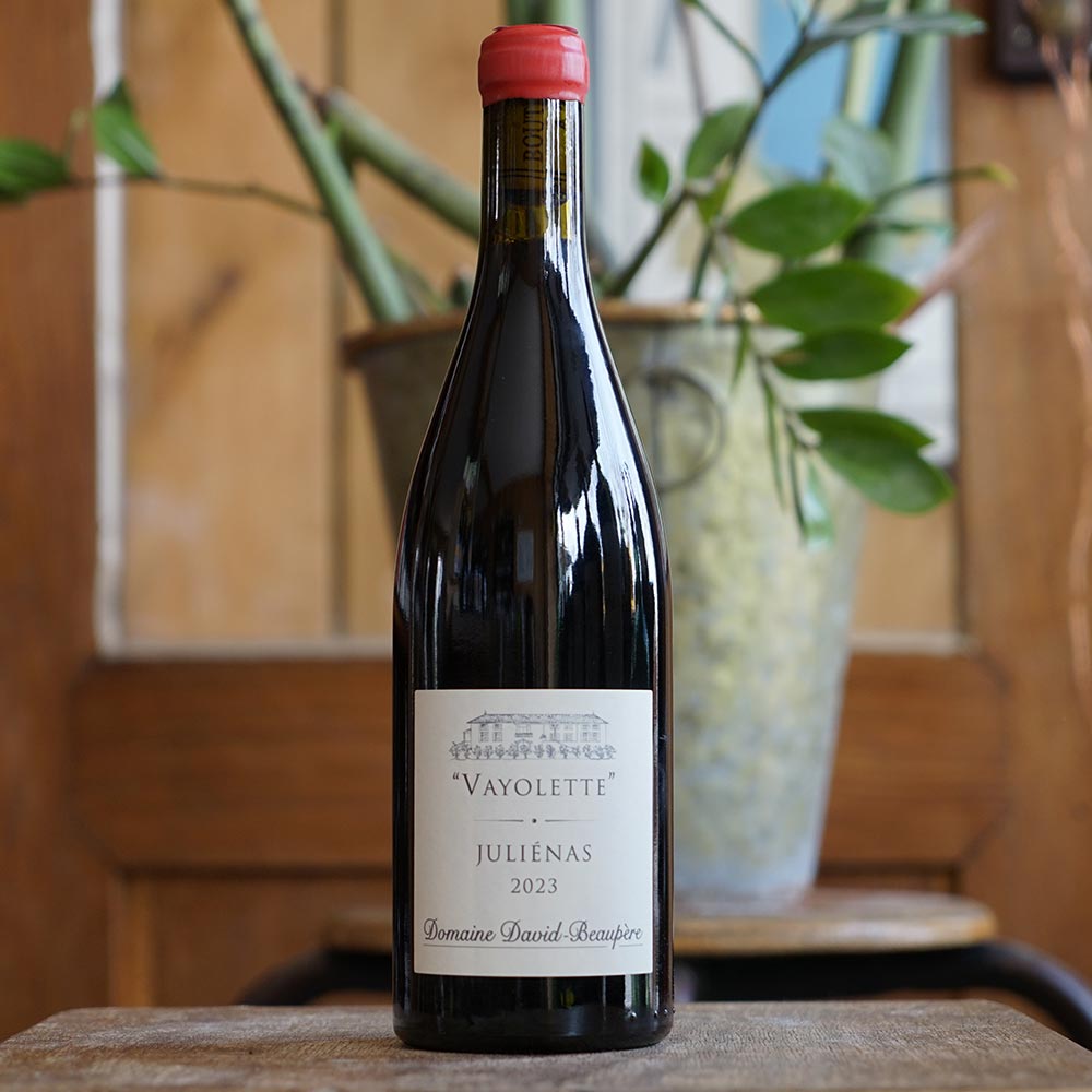 Julienas "Vayolette" 2023 - Domaine David-Beaupère