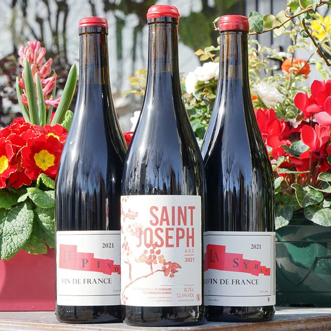 Syrah 2021 - François Dumas