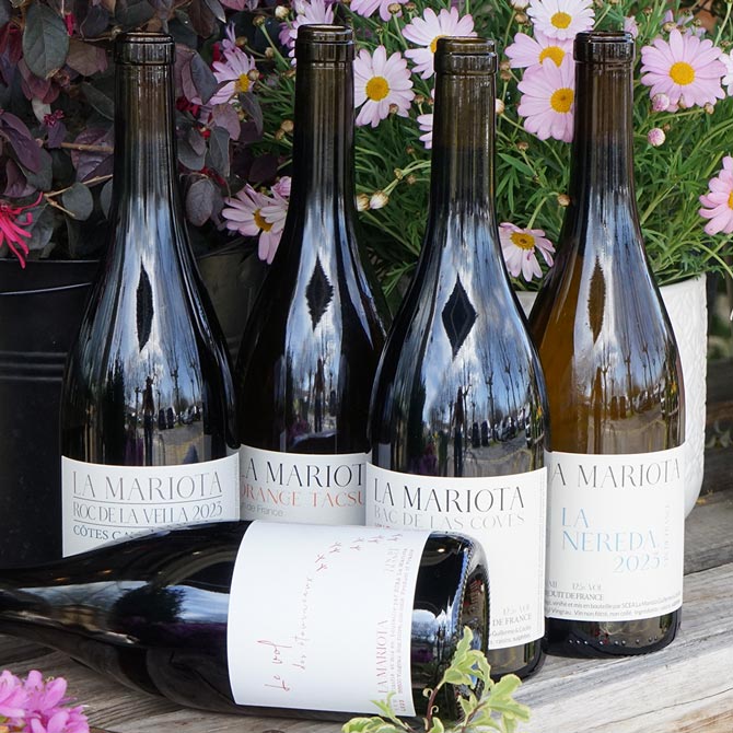 Bac de las Coves 2022 - La Mariota