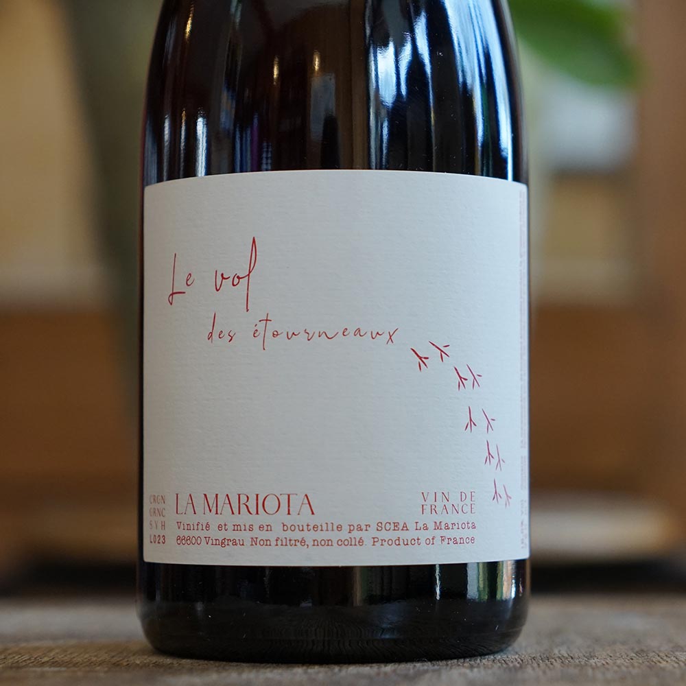 Le Vol des Etourneaux 2022 - La Mariota