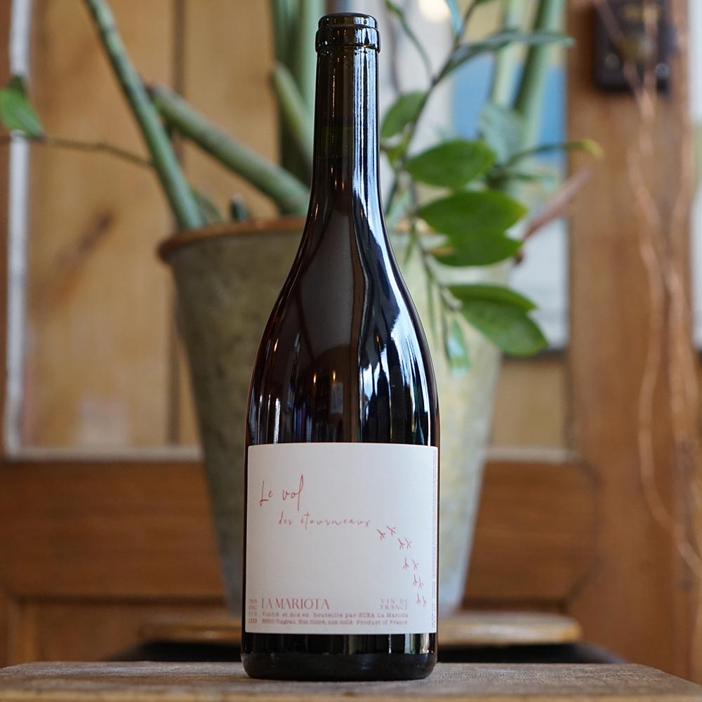 Le Vol des Etourneaux 2022 - La Mariota