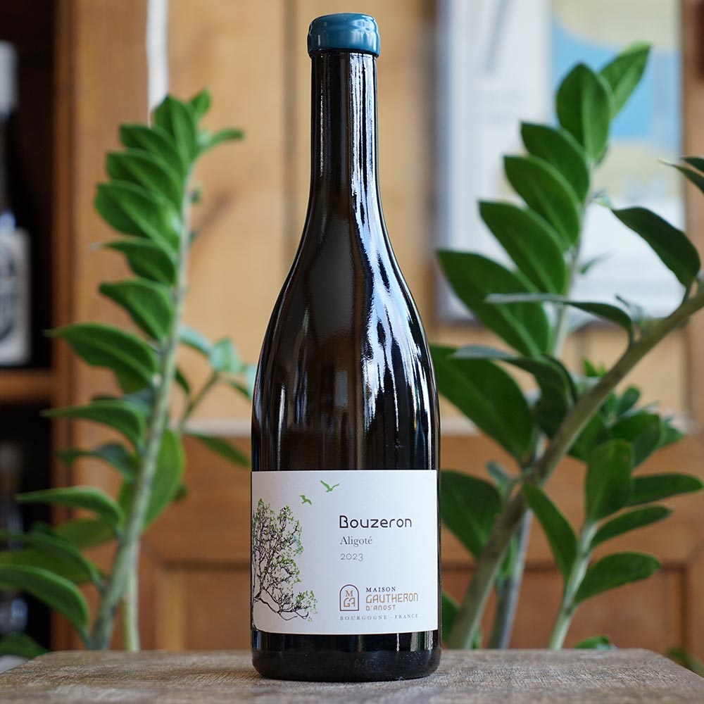 Bouzeron Aligoté 2023 - Maison Gautheron d'Anost