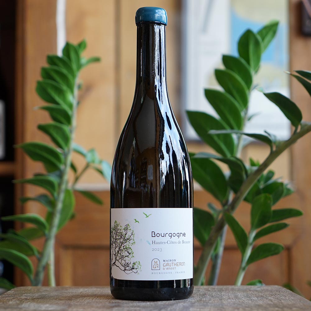 Hautes Côtes de Beaune Blanc 2023 - Maison Gautheron d'Anost