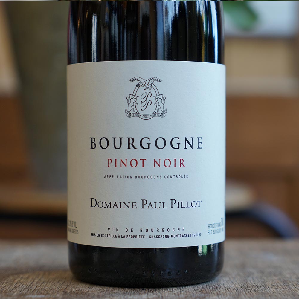 Bourgogne Pinot Noir 2022 - Paul Pillot