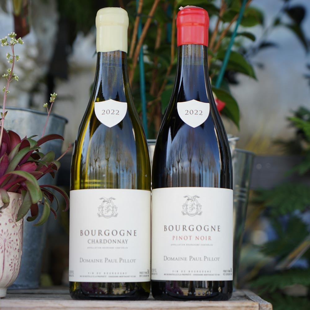 Bourgogne Chardonnay 2022 - Paul Pillot