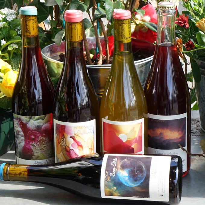 Bonne étoile 2023 - Petite Nature