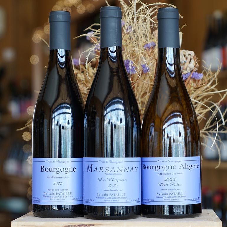 Bourgogne Aligoté Petit Puits 2022 - Sylvain Pataille