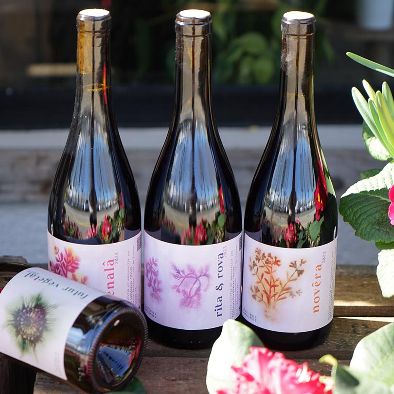 Rita et Rova 2023 - Tailleurs Cueilleurs