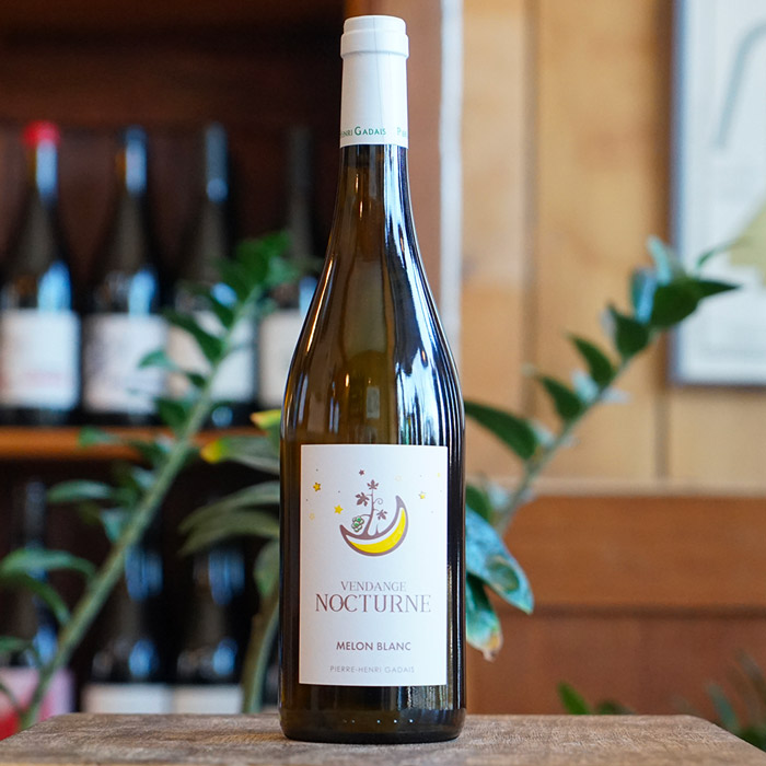 Vendange Nocturne 2023 - Domaine Gadais