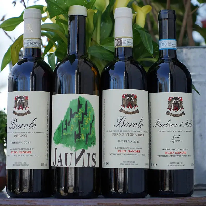 Barbera d'Alba "Superiore" 2022 - Elio Sandri