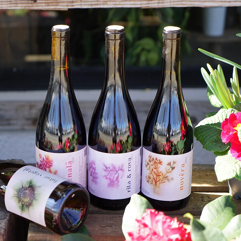 Sarvazo 2022 - Tailleurs Cueilleurs