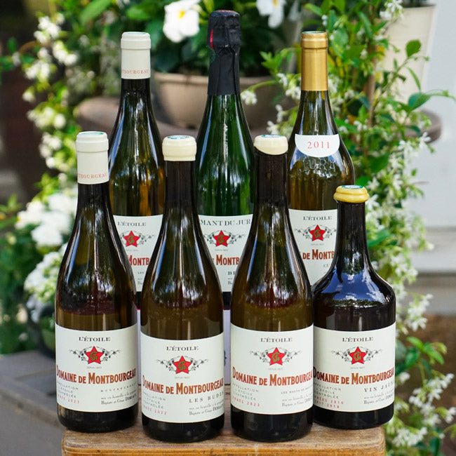 L'Étoile "Les Hauts de Montangis" 2023 - Domaine de Montbourgeau