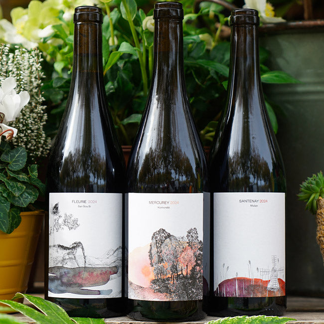 Fleurie San Sou Si 2024 - Icy Liu