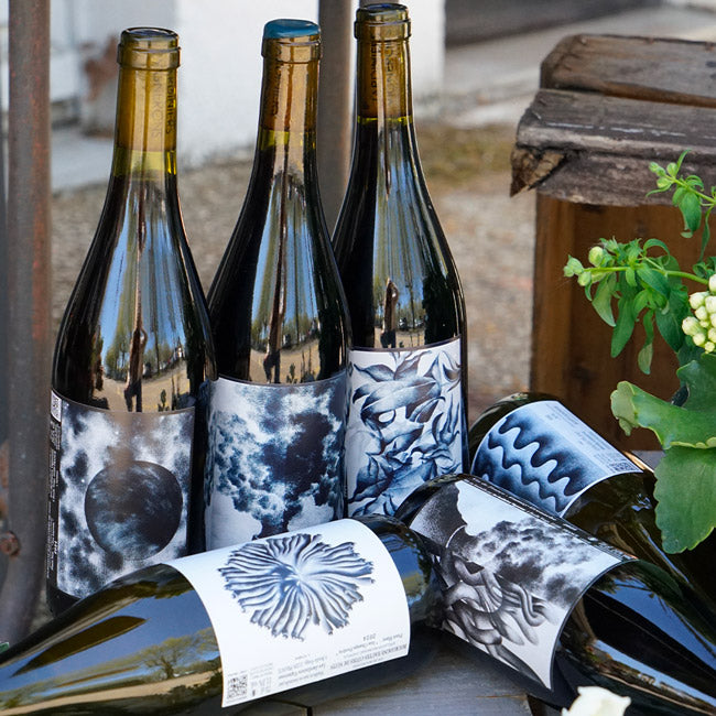 Hautes Côtes de Nuits Pinot Blanc "Aux Champs Perdrix" 2024 - Les Jardiniers Vignerons