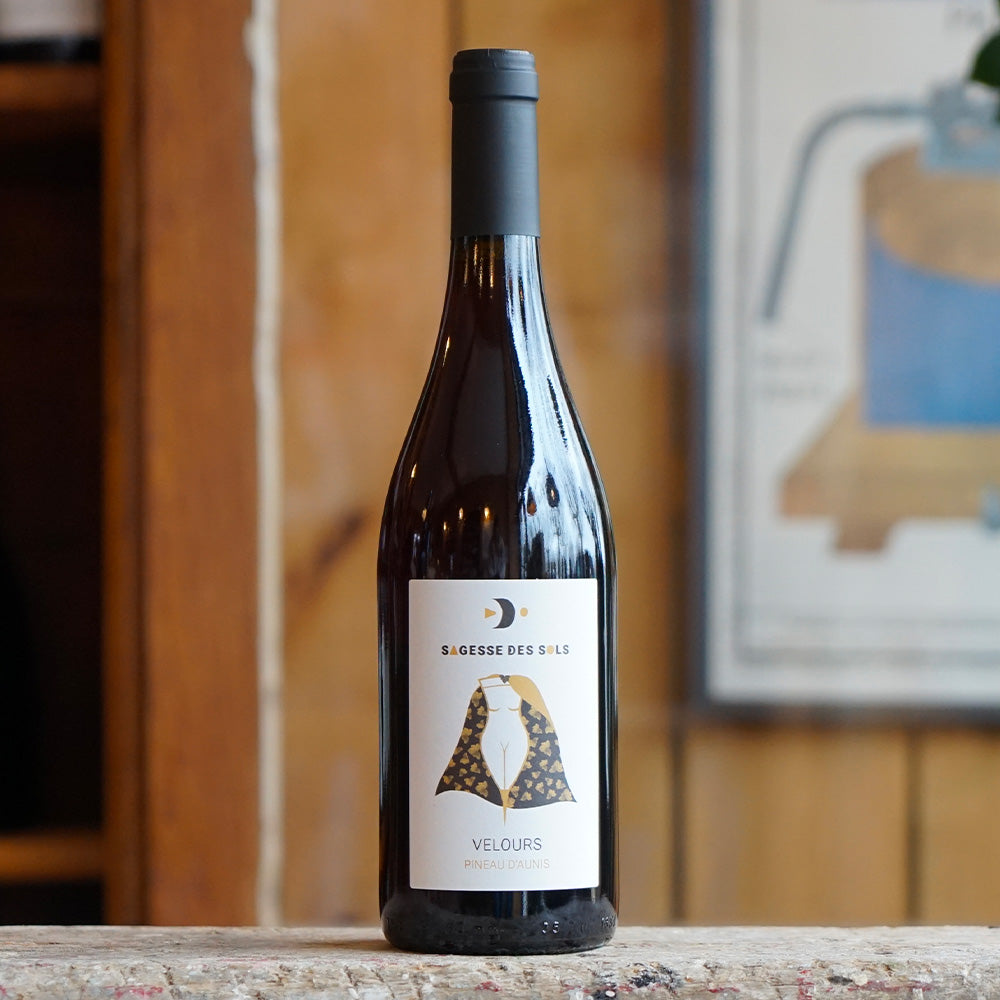 Velours 2024 - Sagesse des Sols