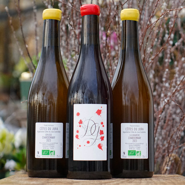 Chardonnay Graviére 2023 - Damien Guadagnolo