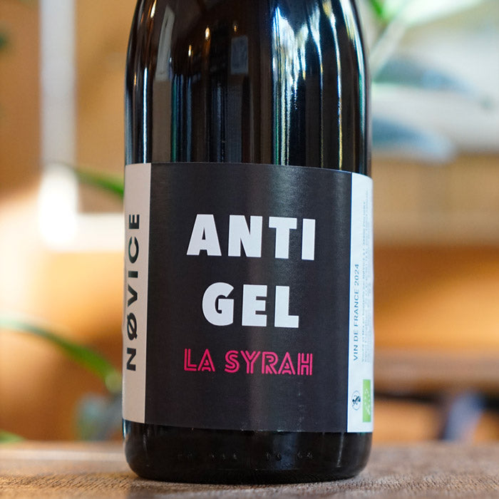La Syrah 2024 - NOVICE