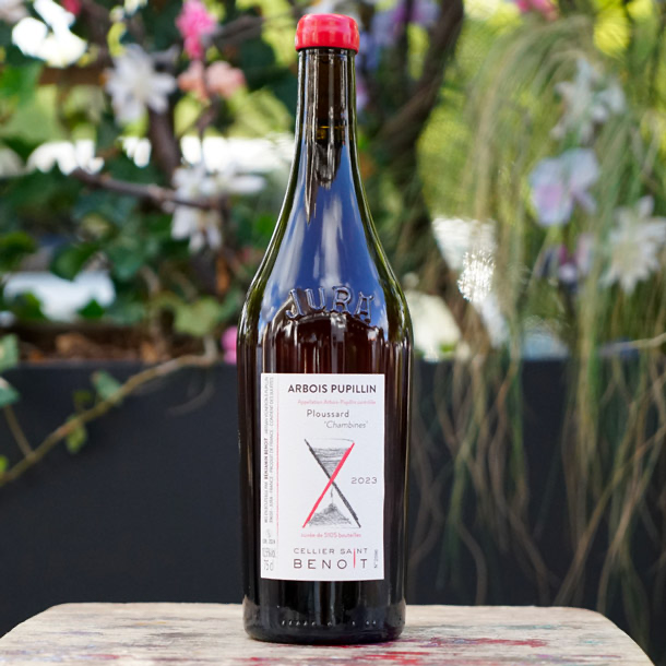 Ploussard "Chambines" 2023 - Cellier Saint Benoit