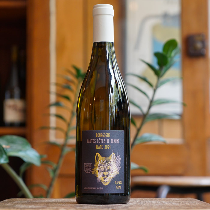 Hautes Côtes de Beaune Blanc 2024 - Chapuis & Chapuis