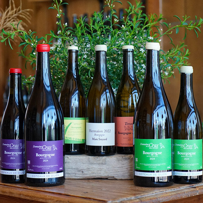 Domaine Blanc Magnum 2024 - Domaine de la Cras