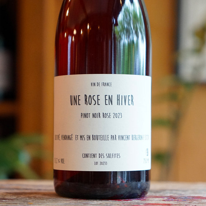 Une Rose en Hiver 2023 - Vincent Bergeron