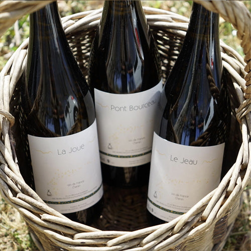 Pont Bourceau 2023 - Julien Delrieu