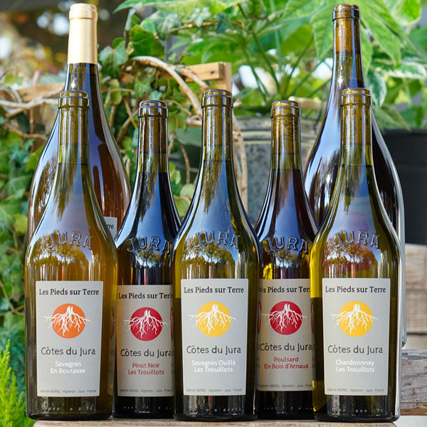 Savagnin Ouillé 2022 - Valentin Morel