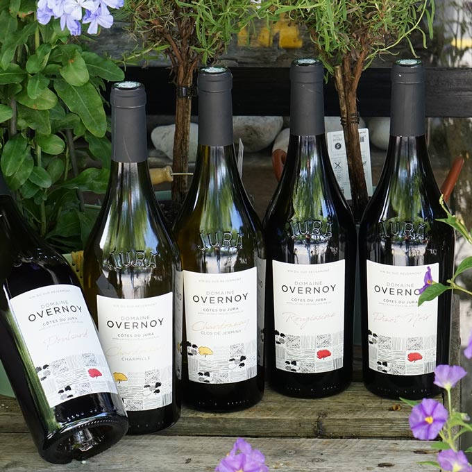 Chardonnay Charmille 2022 - Domaine Overnoy