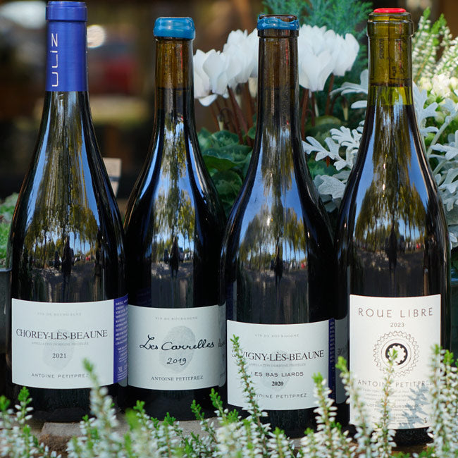 Chorey Les Beaune Rouge 2021 - Antoine Petitprez