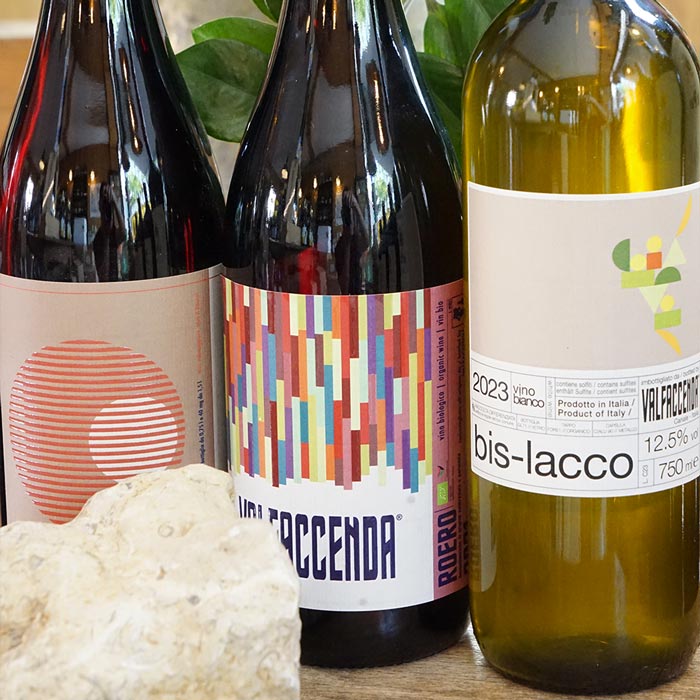 Bis-Lacco Vini-Bisesti Blanco 2023 - Valfaccenda