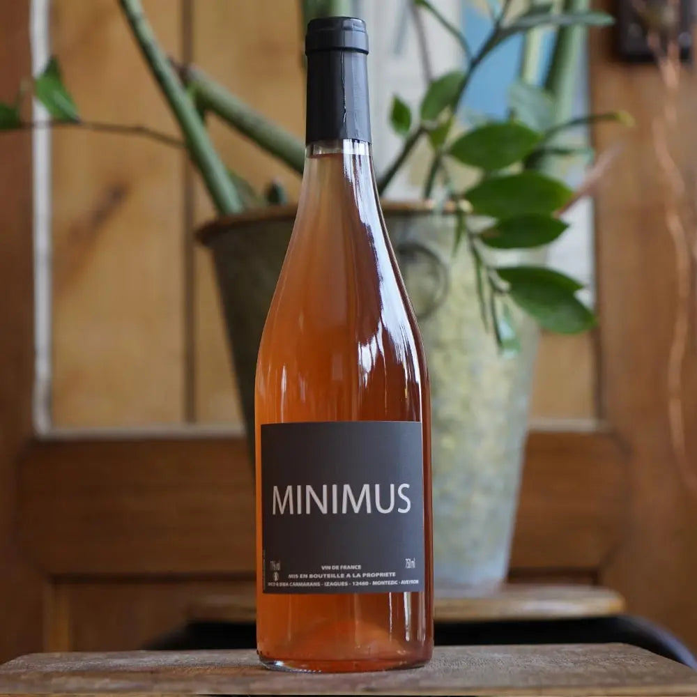 Minimus - Nicolas & Biba Carmarans