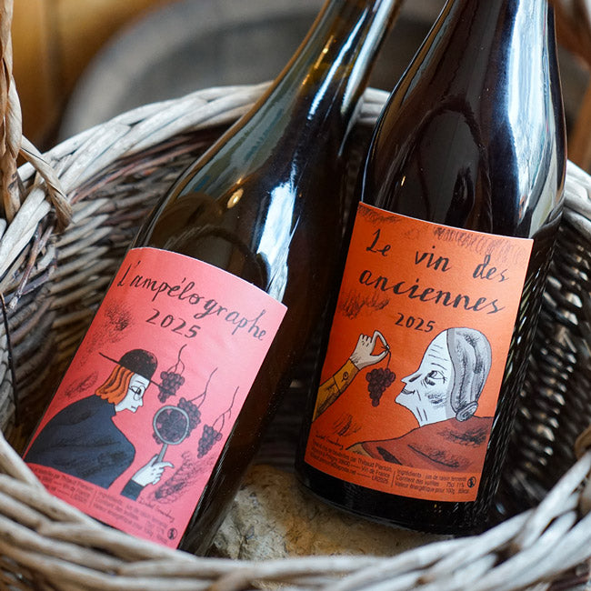 Le Vin des Anciennes 2025 - Thibaud Pierson