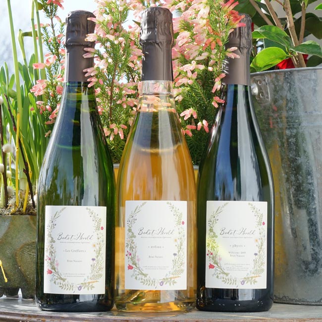 Crémant de Loire Les Greffiers 2021 - Maison Bodet Herold