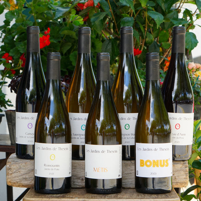 Sauvignon Blanc "Jardin du Poira" 2022 - Les Jardins de Theseiis